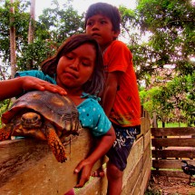 Kids with turtle